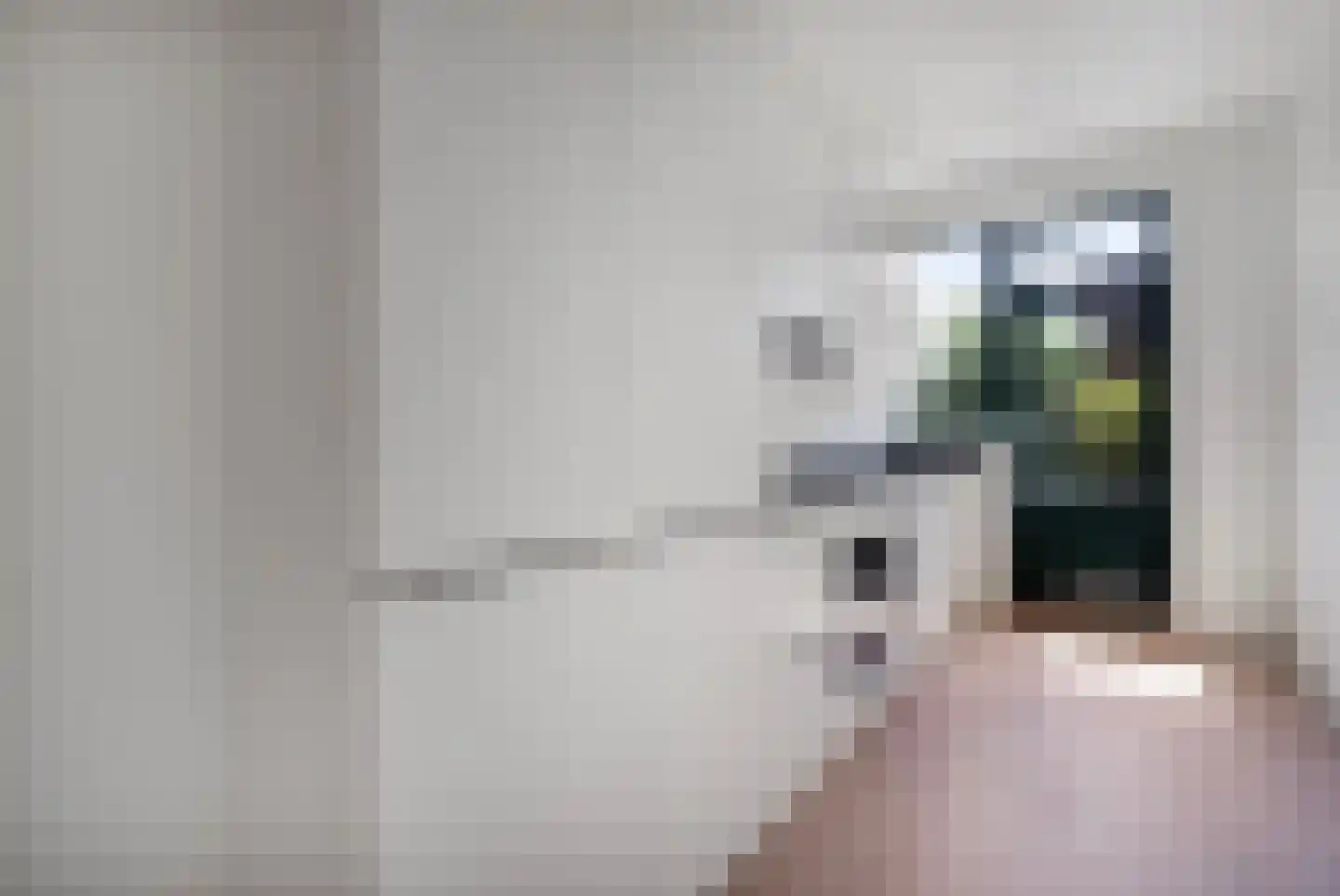 Laan van Meerdervoort 1042 Den Haag thumbnail 4
