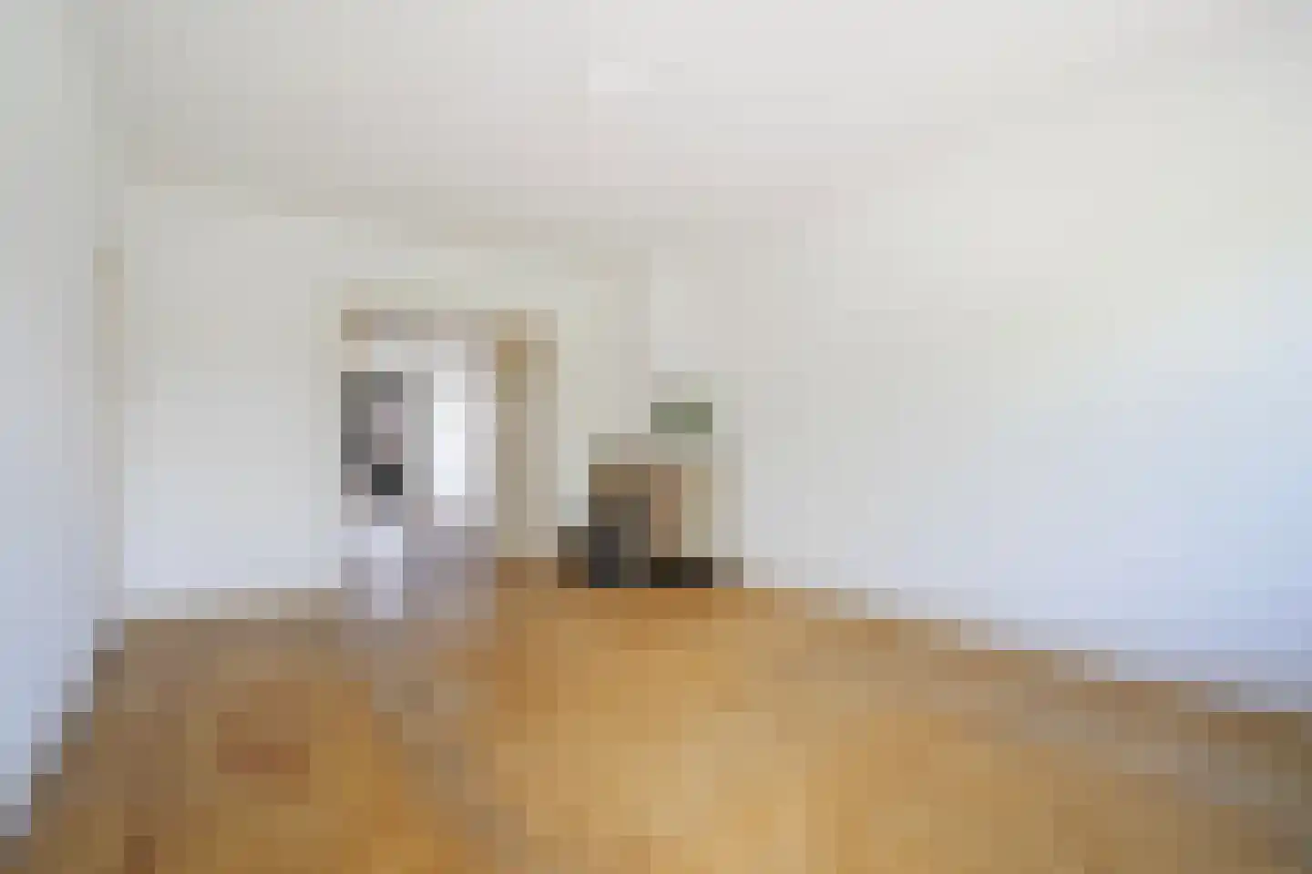 Laan van Meerdervoort 1064 Den Haag thumbnail 11