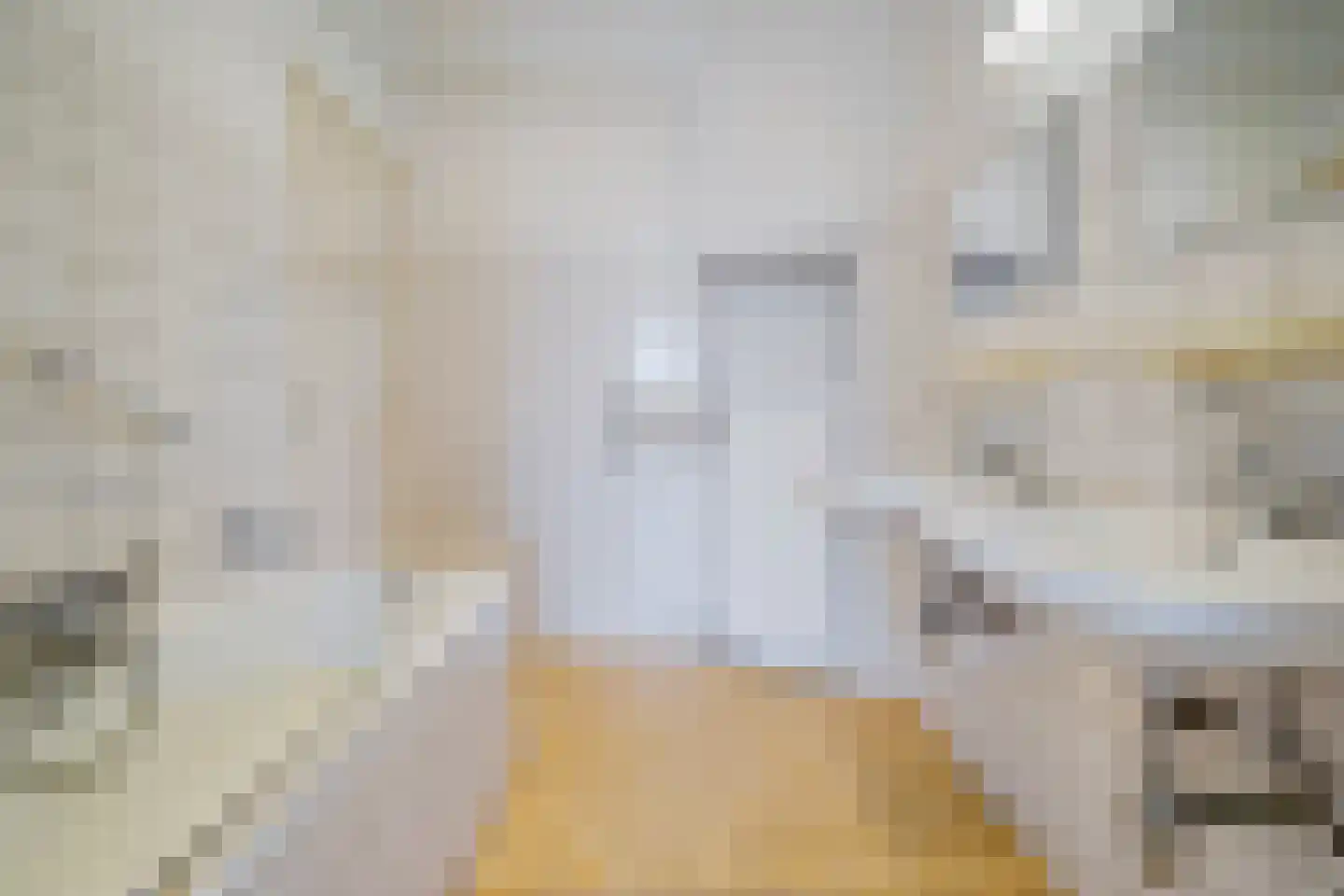 Laan van Meerdervoort 1064 Den Haag thumbnail 24