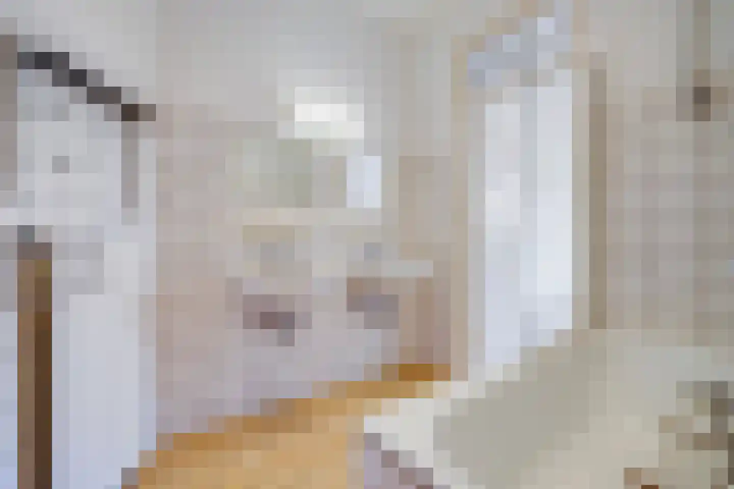 Laan van Meerdervoort 1064 Den Haag thumbnail 25