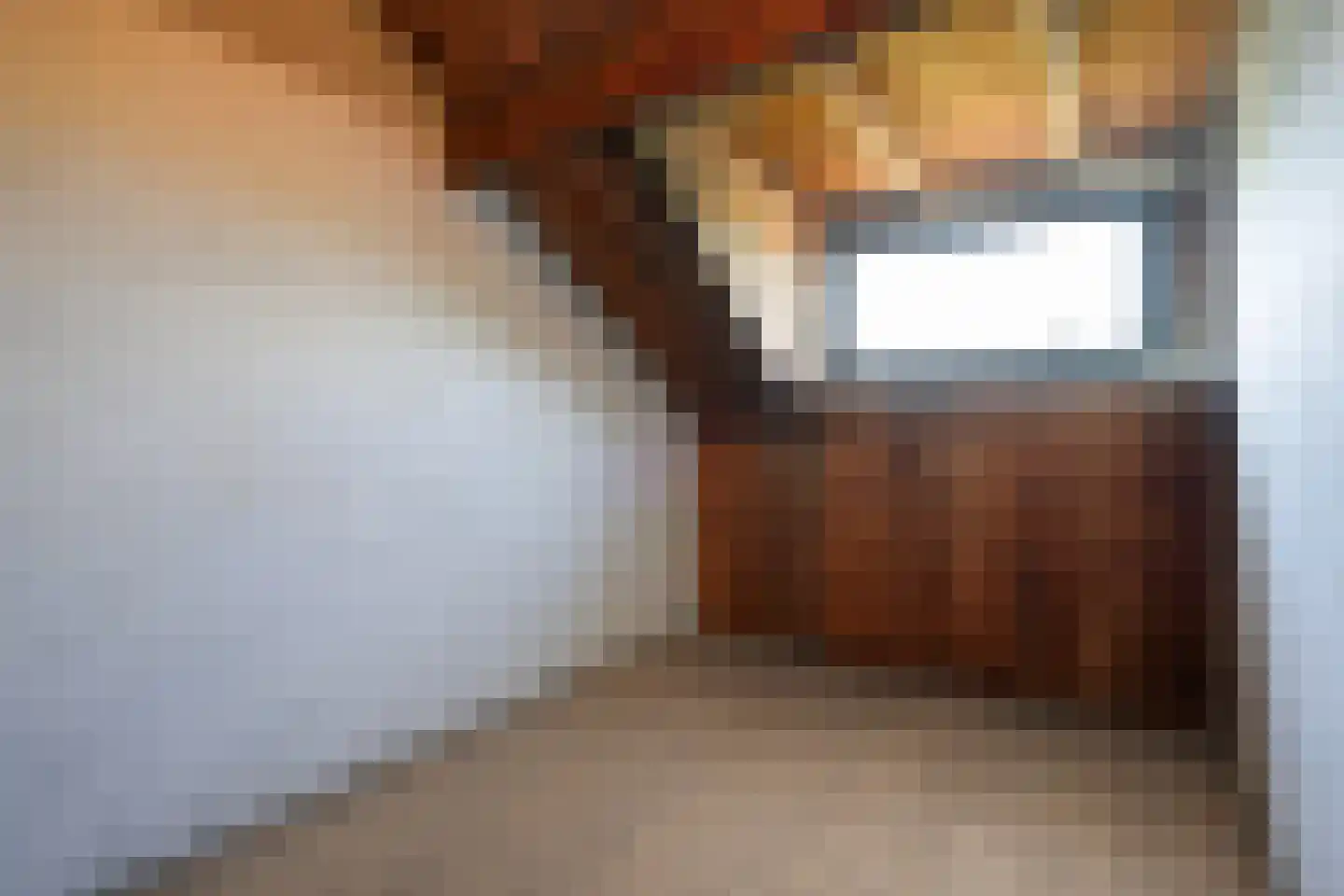 Laan van Meerdervoort 1064 Den Haag thumbnail 34