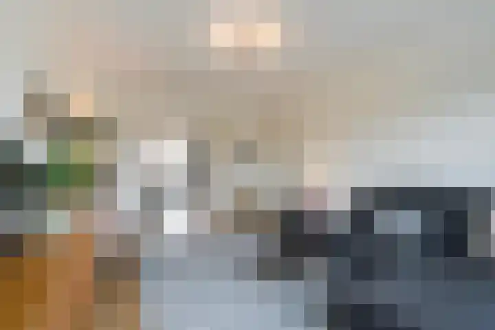 Laan van Meerdervoort 1070 Den Haag thumbnail 12