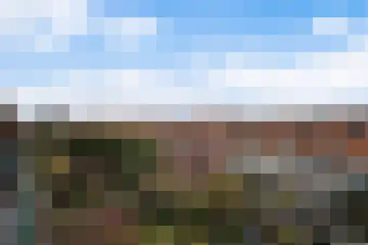 Laan van Meerdervoort 1070 Den Haag thumbnail 26