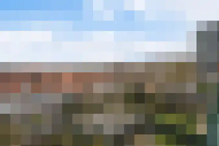 Laan van Meerdervoort 1070 Den Haag thumbnail 27