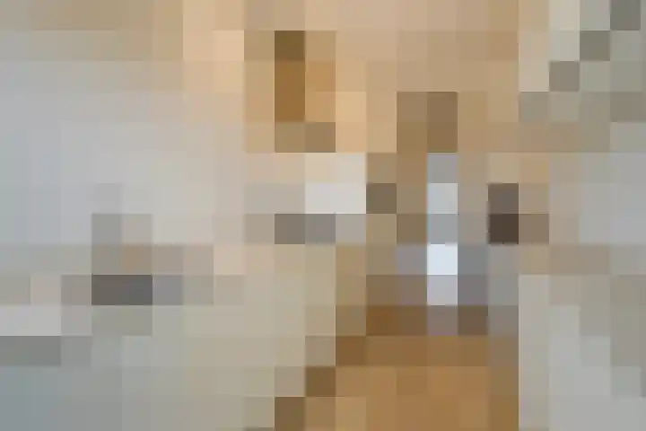 Laan van Meerdervoort 1070 Den Haag thumbnail 28