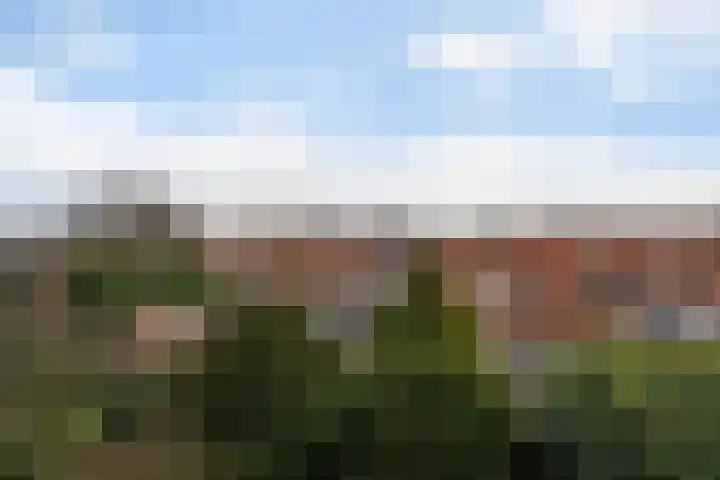 Laan van Meerdervoort 1070 Den Haag thumbnail 32