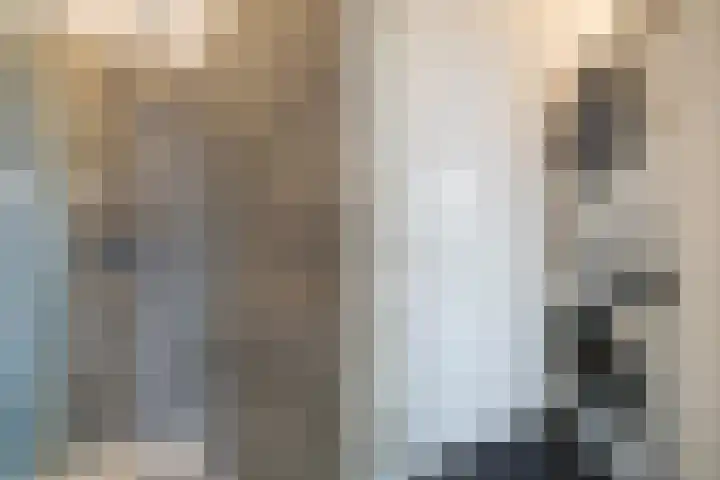 Laan van Meerdervoort 1070 Den Haag thumbnail 34