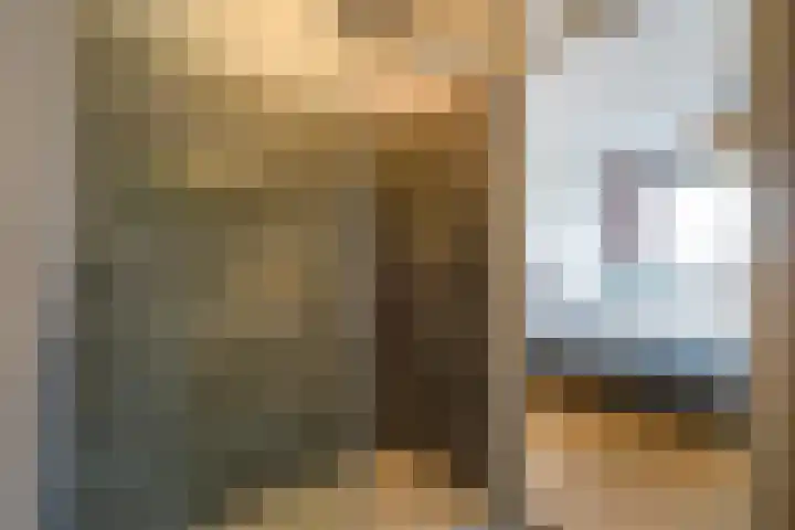 Laan van Meerdervoort 1070 Den Haag thumbnail 36