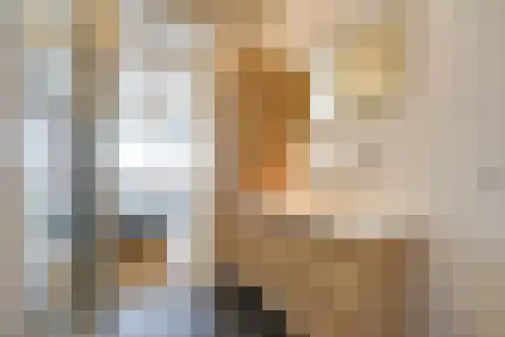 Laan van Meerdervoort 1070 Den Haag thumbnail 37