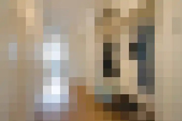 Laan van Meerdervoort 1070 Den Haag thumbnail 38