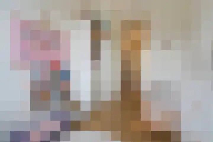 Laan van Meerdervoort 1070 Den Haag thumbnail 42
