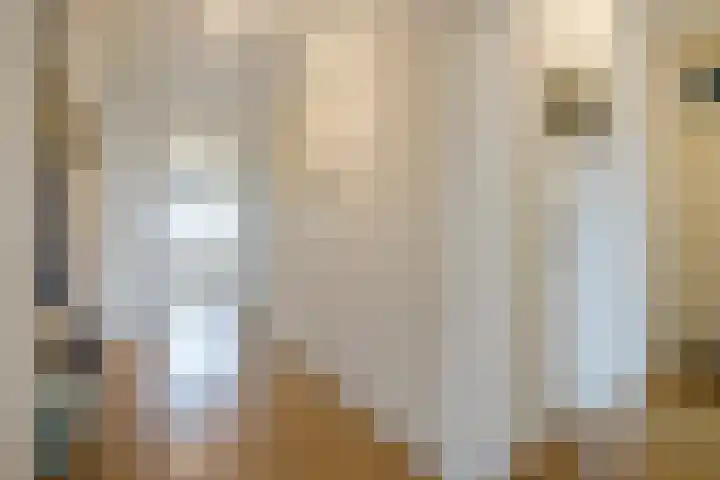 Laan van Meerdervoort 1070 Den Haag thumbnail 43