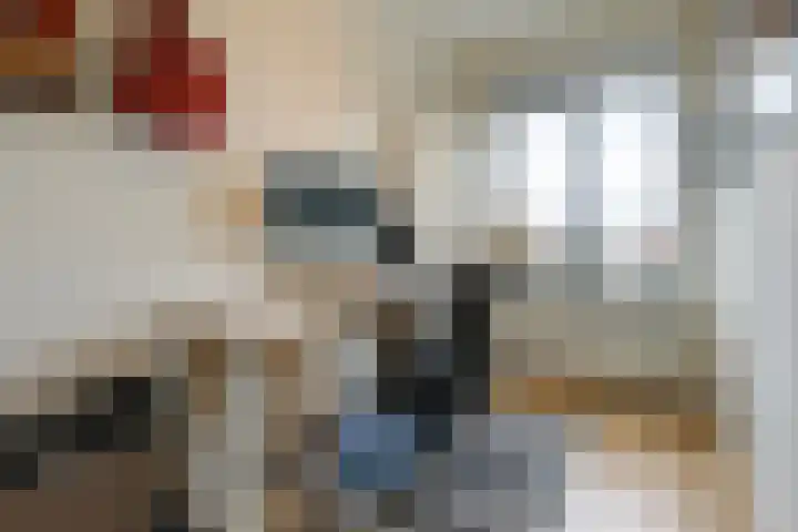 Laan van Meerdervoort 1070 Den Haag thumbnail 44