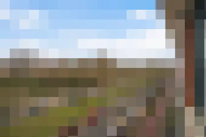 Laan van Meerdervoort 1070 Den Haag thumbnail 45