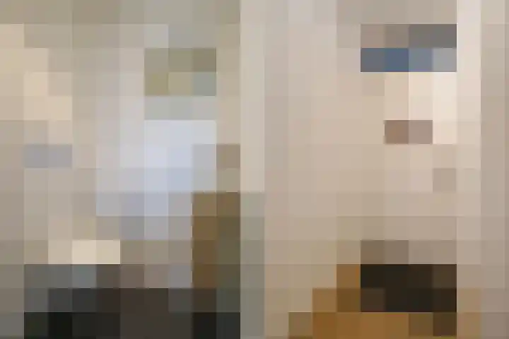Laan van Meerdervoort 1070 Den Haag thumbnail 47