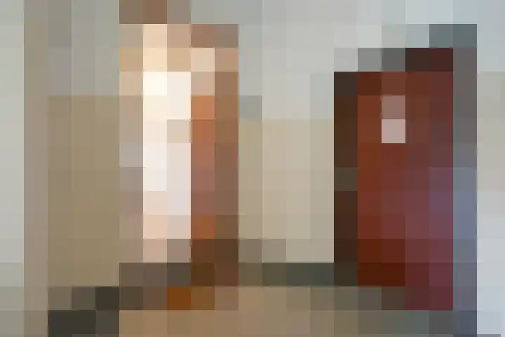Laan van Meerdervoort 1070 Den Haag thumbnail 7