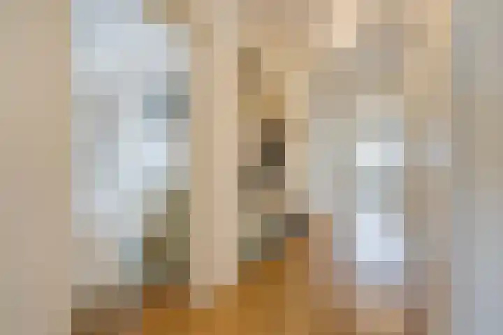 Laan van Meerdervoort 1070 Den Haag thumbnail 8