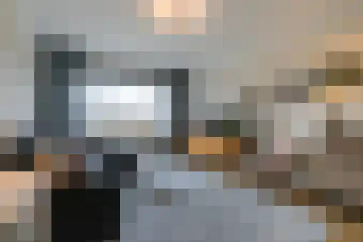 Laan van Meerdervoort 1070 Den Haag thumbnail 9