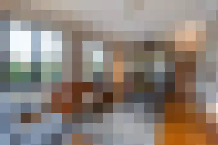 Laan van Meerdervoort 1090 Den Haag thumbnail 10