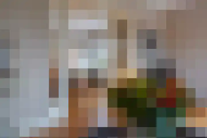 Laan van Meerdervoort 1090 Den Haag thumbnail 12