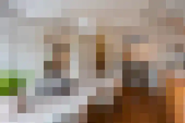 Laan van Meerdervoort 1090 Den Haag thumbnail 14