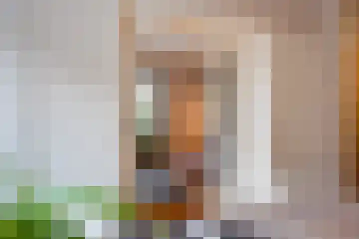 Laan van Meerdervoort 1090 Den Haag thumbnail 15