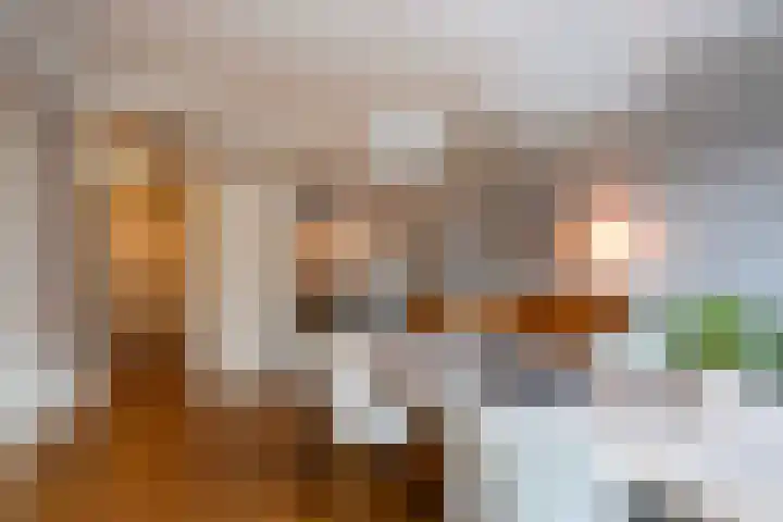 Laan van Meerdervoort 1090 Den Haag thumbnail 18