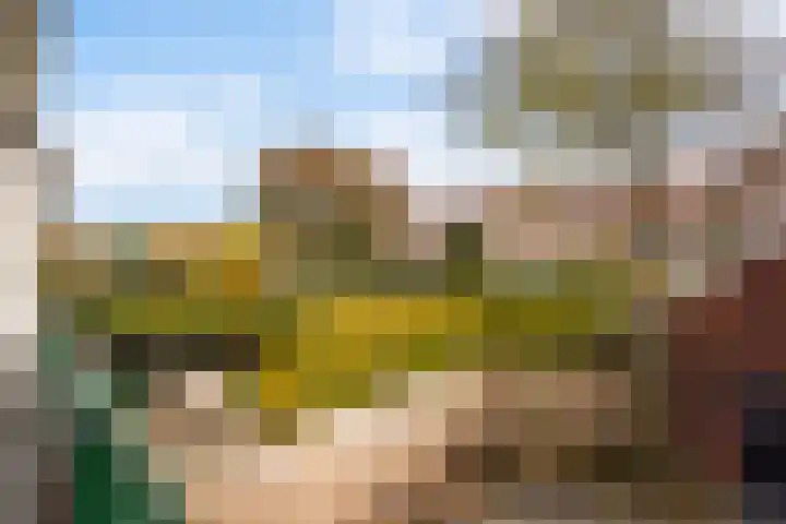 Laan van Meerdervoort 1090 Den Haag thumbnail 28