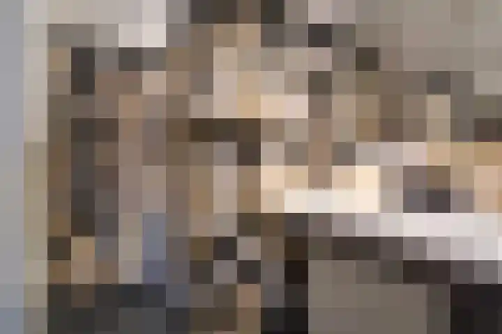 Laan van Meerdervoort 1090 Den Haag thumbnail 30