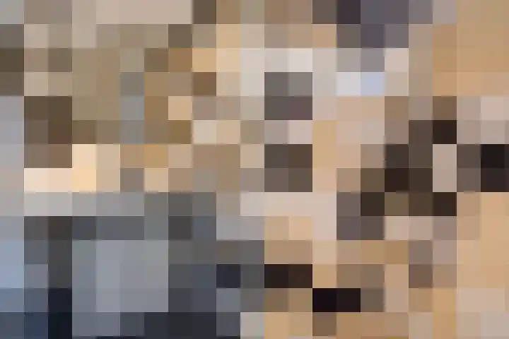 Laan van Meerdervoort 1090 Den Haag thumbnail 31