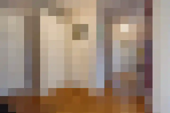 Laan van Meerdervoort 1090 Den Haag thumbnail 38