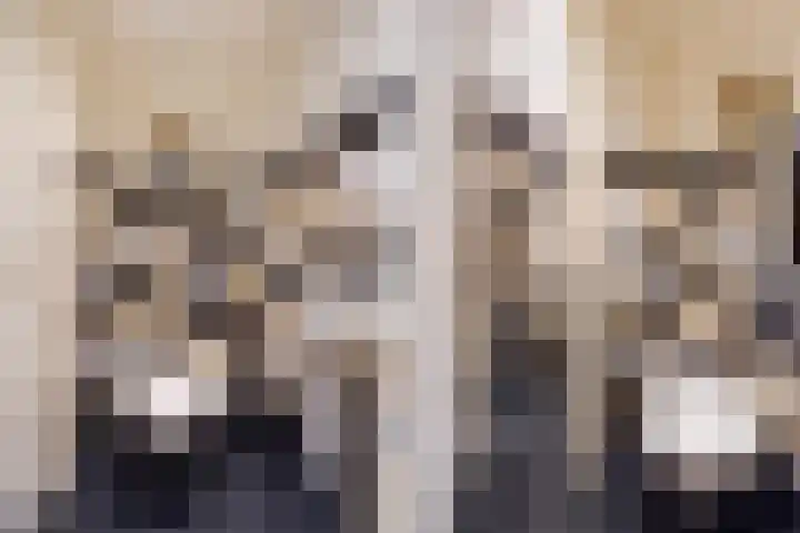 Laan van Meerdervoort 1090 Den Haag thumbnail 39