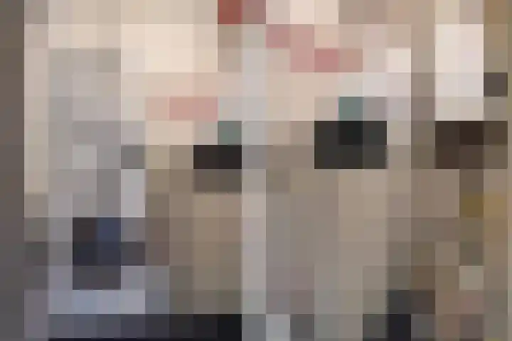 Laan van Meerdervoort 1090 Den Haag thumbnail 41