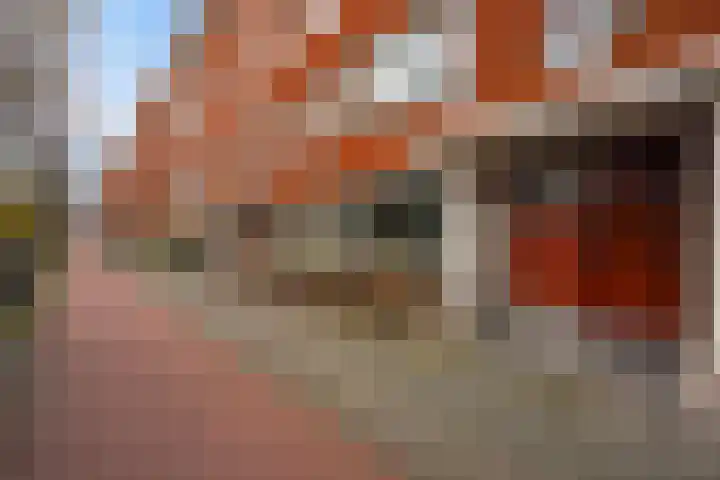 Laan van Meerdervoort 1090 Den Haag thumbnail 43