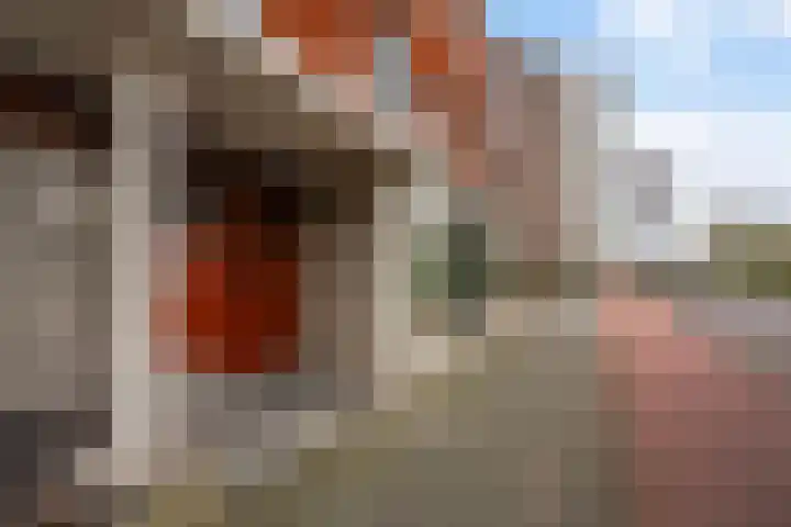 Laan van Meerdervoort 1090 Den Haag thumbnail 5