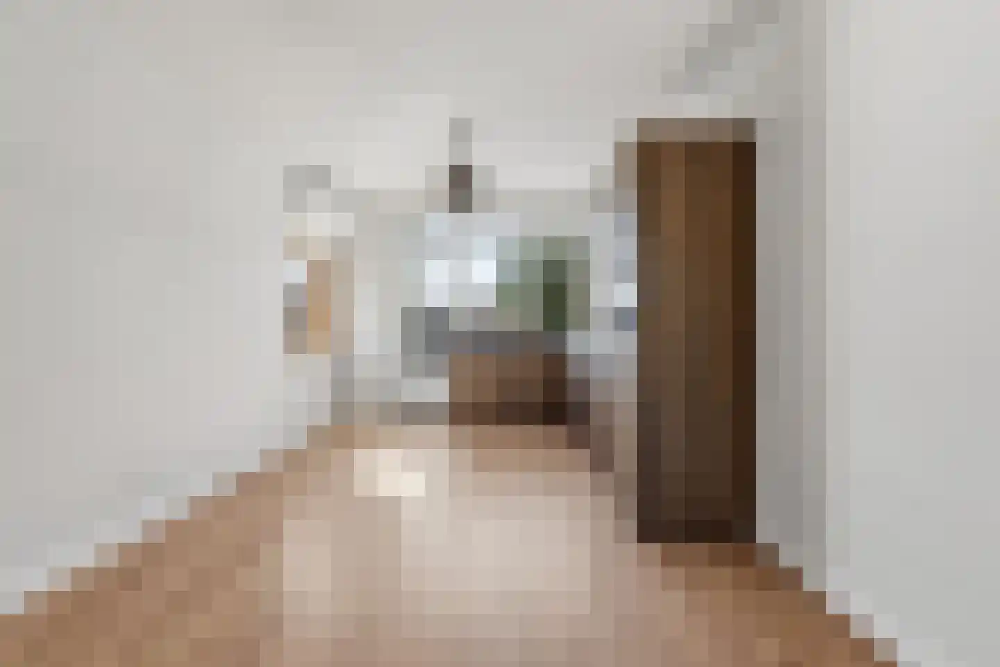 Laan van Meerdervoort 1100 Den Haag thumbnail 14