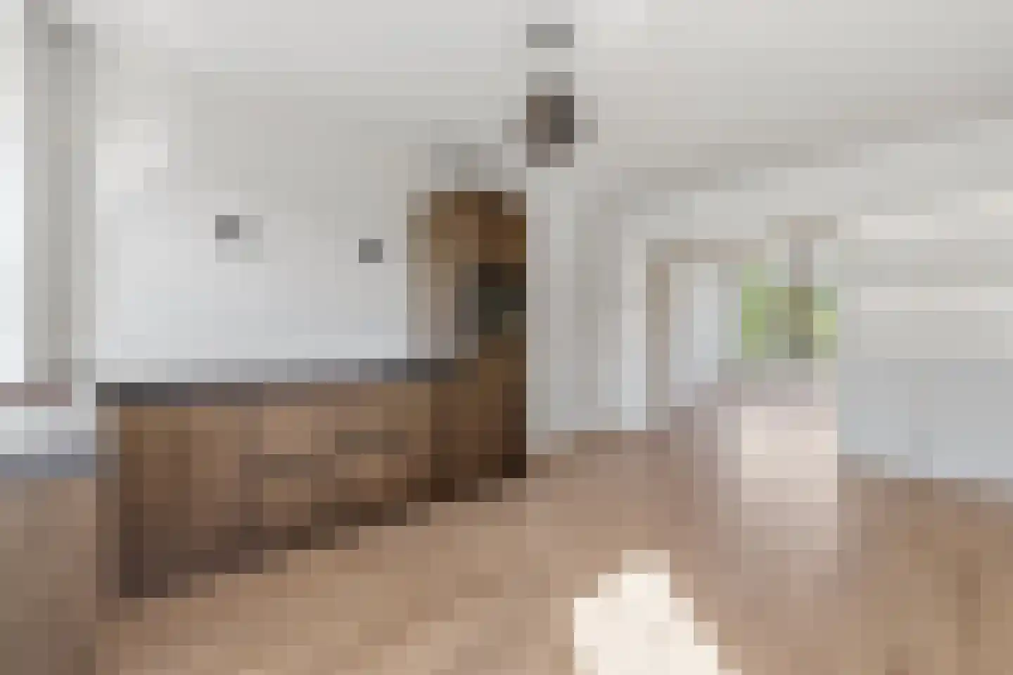 Laan van Meerdervoort 1100 Den Haag thumbnail 16
