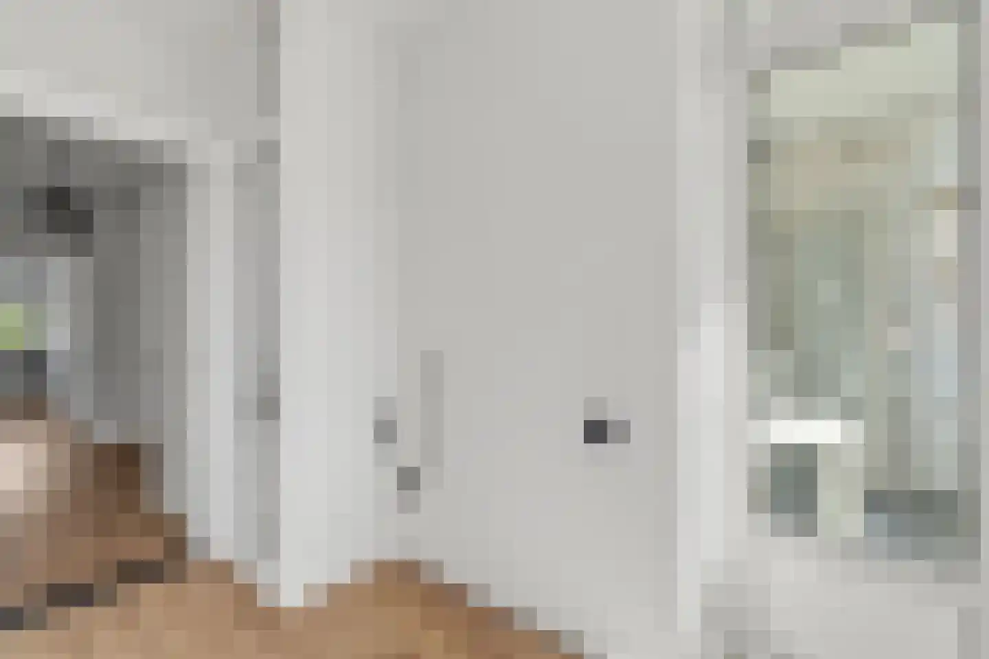 Laan van Meerdervoort 1100 Den Haag thumbnail 30