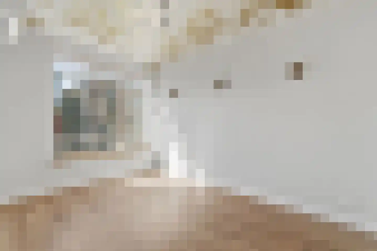 Laan van Meerdervoort 1100 Den Haag thumbnail 31