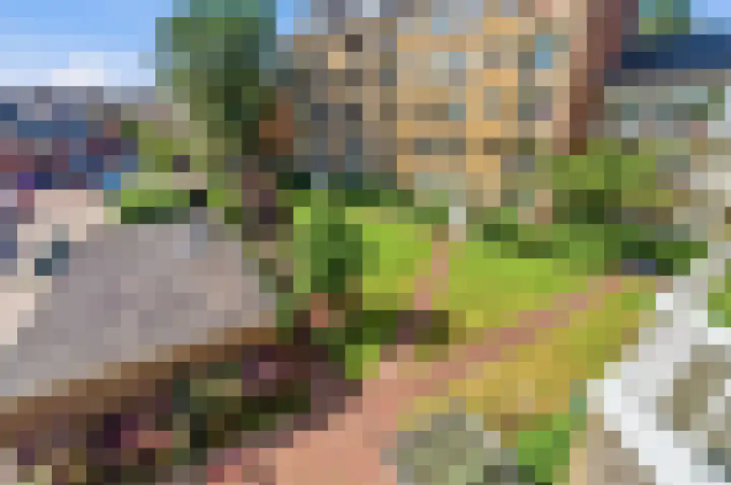 Laan van Meerdervoort 1100 Den Haag thumbnail 41