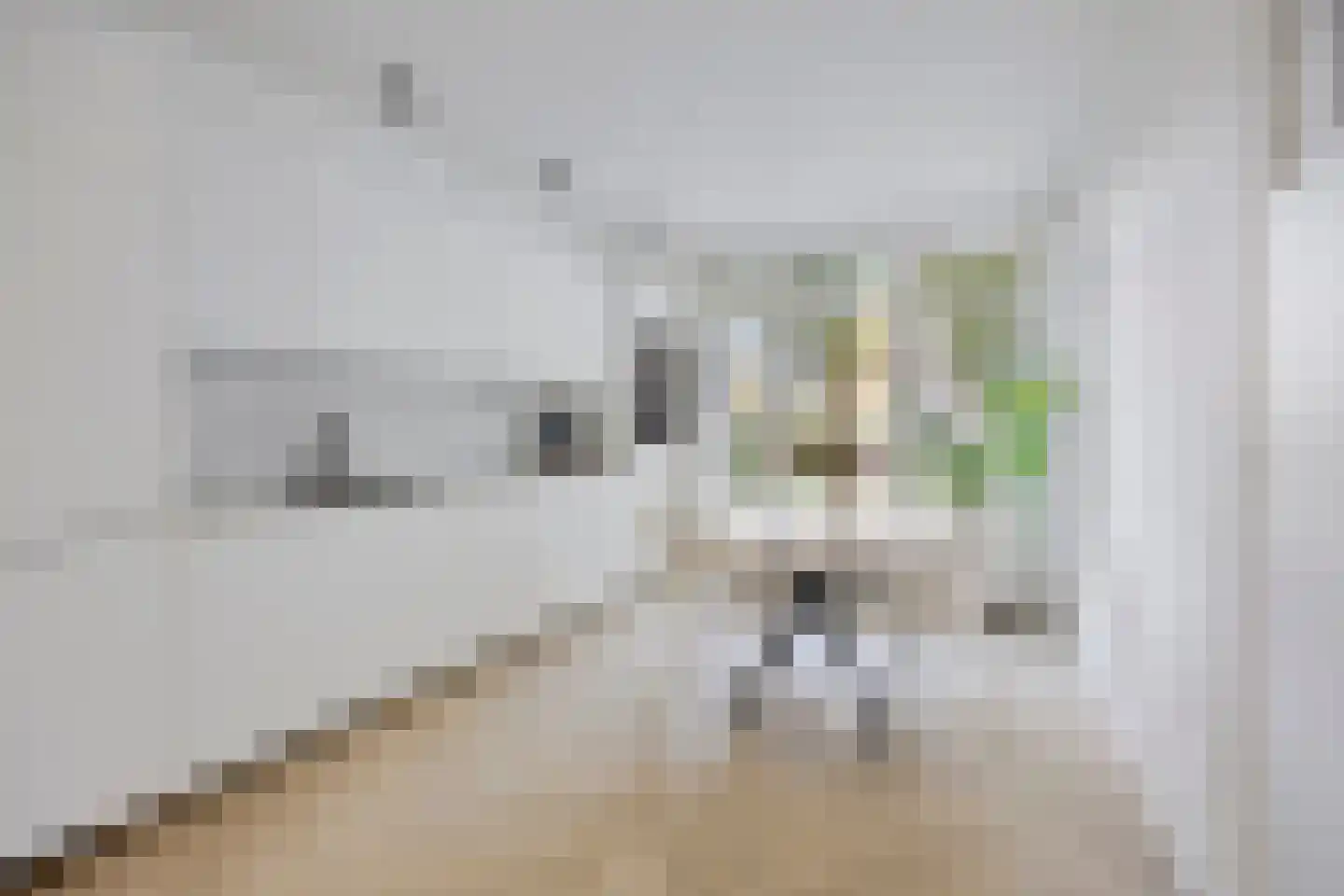 Laan van Meerdervoort 1112 Den Haag thumbnail 11