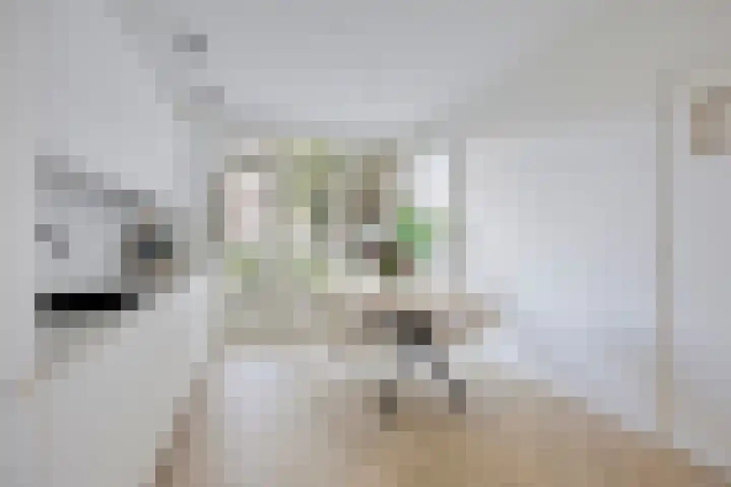 Laan van Meerdervoort 1112 Den Haag thumbnail 12