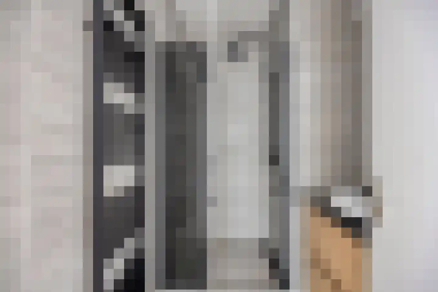 Laan van Meerdervoort 1112 Den Haag thumbnail 17
