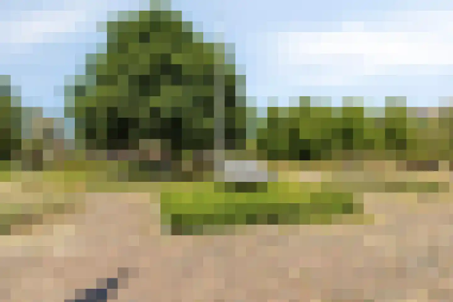 Laan van Meerdervoort 1154 Den Haag thumbnail 32