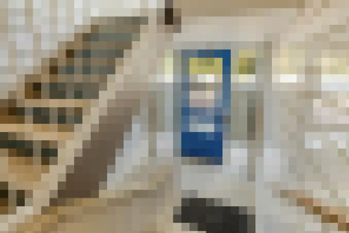 Laan van Meerdervoort 1154 Den Haag thumbnail 7