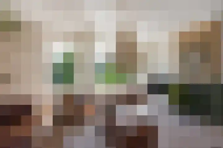 Laan van Meerdervoort 1177 Den Haag thumbnail 10