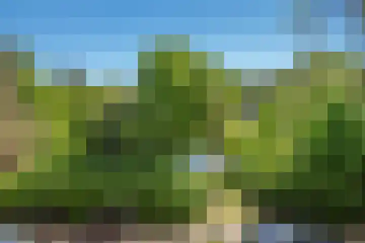 Laan van Meerdervoort 1177 Den Haag thumbnail 12