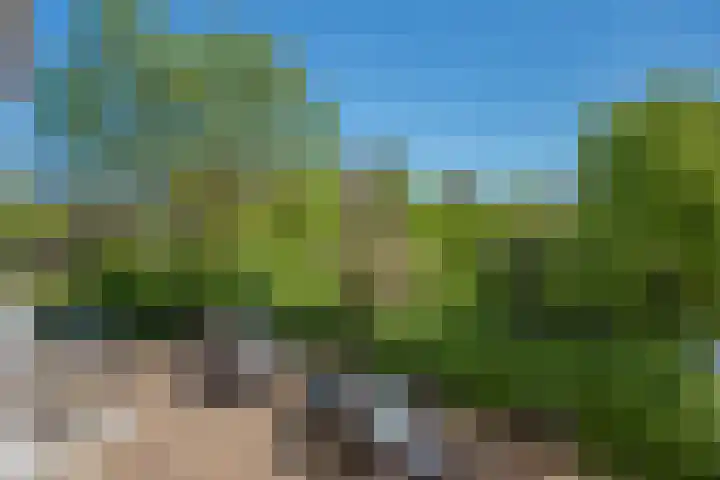 Laan van Meerdervoort 1177 Den Haag thumbnail 13