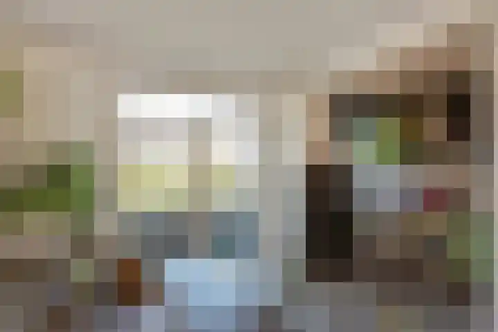 Laan van Meerdervoort 1177 Den Haag thumbnail 17