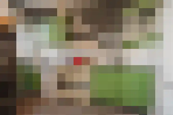 Laan van Meerdervoort 1177 Den Haag thumbnail 18